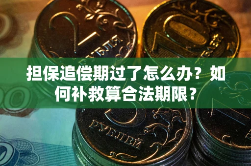 济南担保追偿期过了怎么办？如何补救算合法期限？