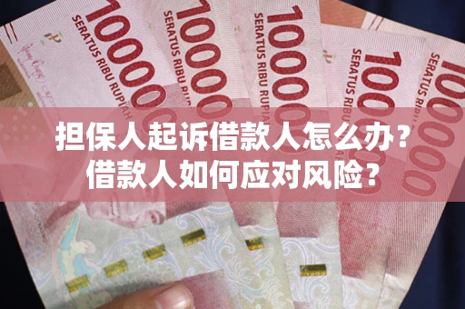 济南担保人起诉借款人怎么办？借款人如何应对风险？