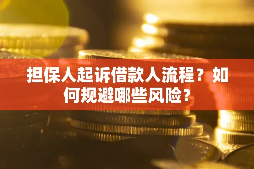 济南担保人起诉借款人流程？如何规避哪些风险？